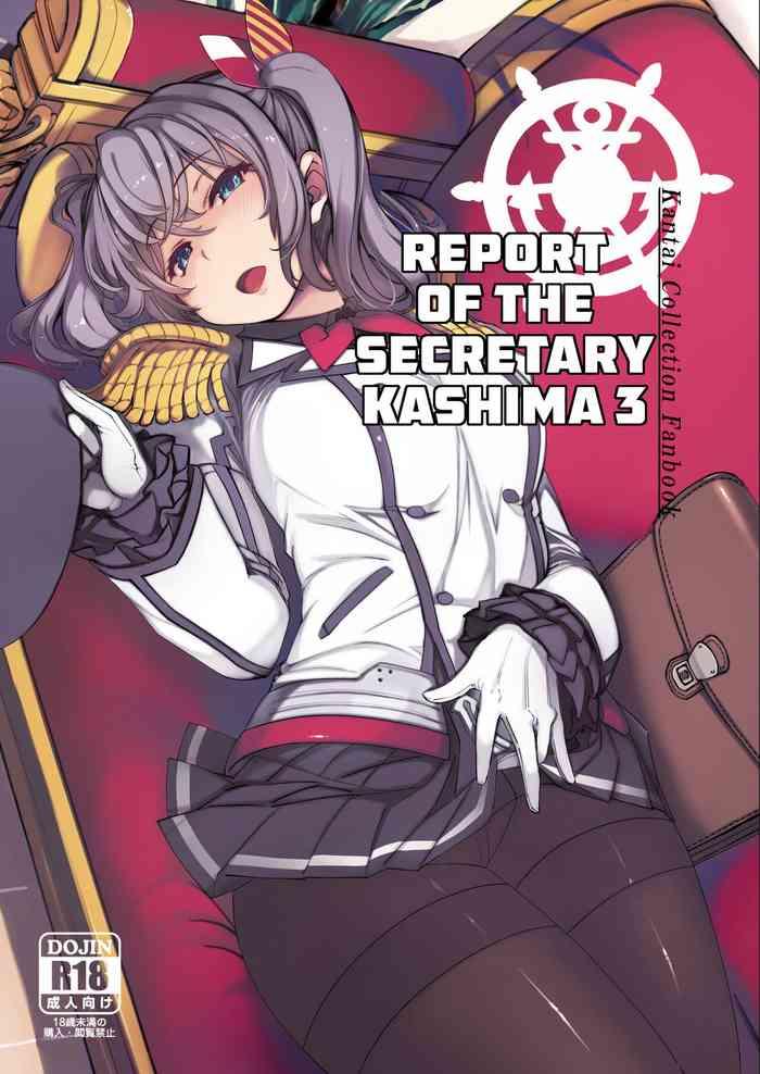 hishokan kashima no houkokusho 3 report of the secretary kashima 3 cover