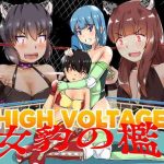 high voltage cover