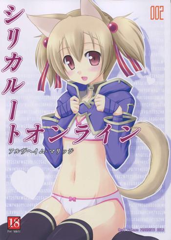 silica route online 2 cover