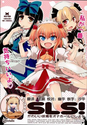 sls kawaii yousei o onahole ni shiyou cover