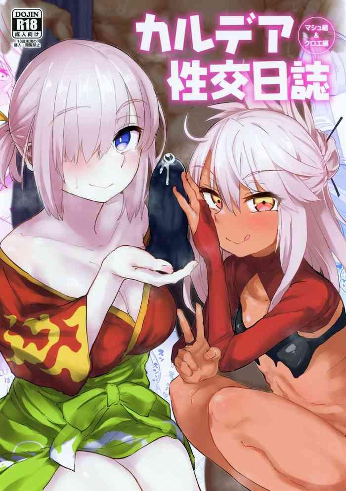 chaldea seikou nisshi chloe hen mash hen cover