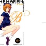 in the harem b side cover