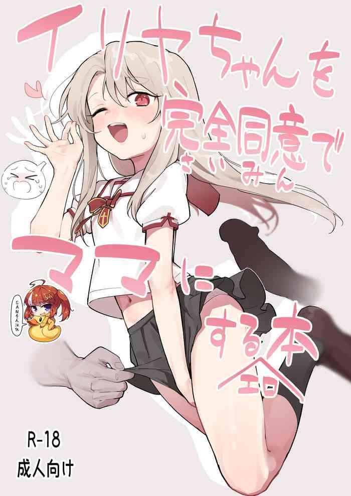 mainichi kenkou seikatsu healthyman illya chan o kanzen doui saimin de mama ni suru ero hon fate kaleid liner prisma illya chinese san digital cover