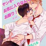cover 2