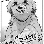 goshujin sama konya no gohoubi mada desu ka cover